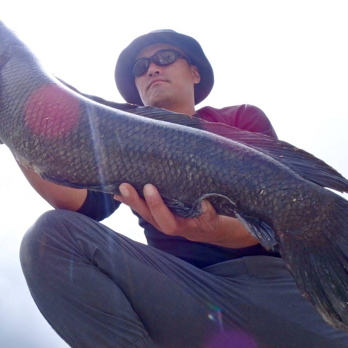 この度AUXとして参加する事になりました目黒と申します - Fishman