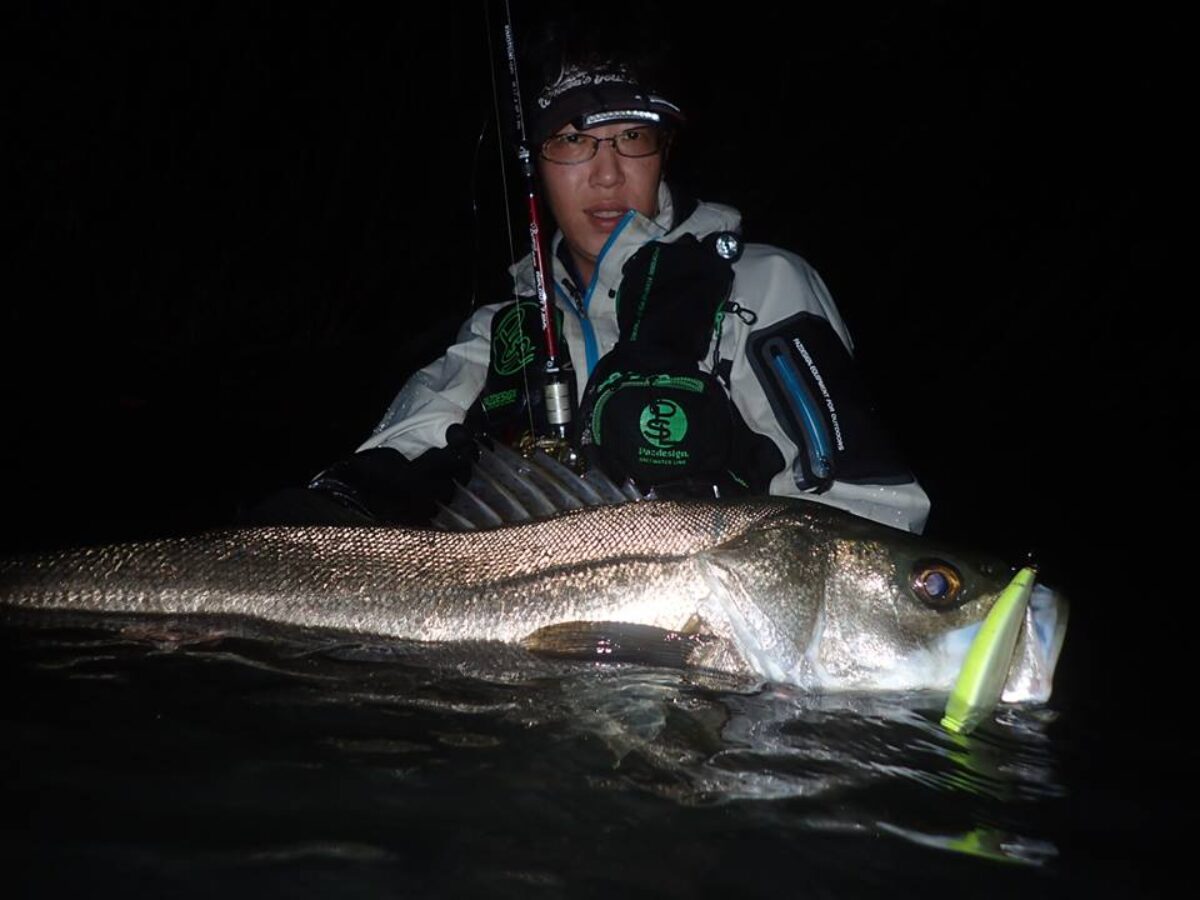 シーバス落ち鮎セット 22310185_874153306083651_84449