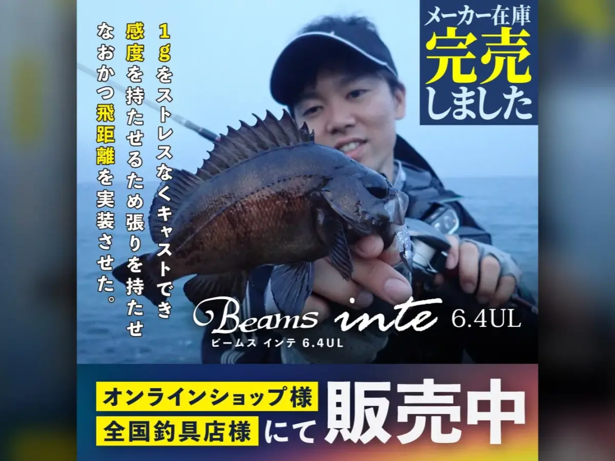 Beams inteシリーズで迷うあなたへ - Fishman（フィッシュマン）