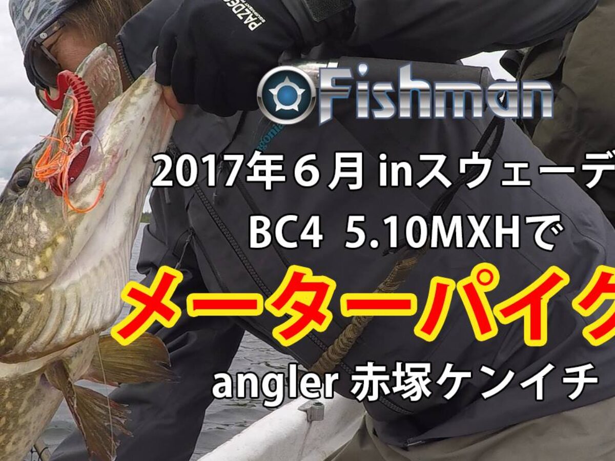 Hamachi 2018/19 XOS GT