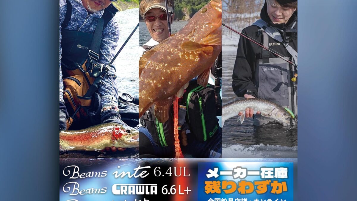 Fishman（フィッシュマン） Ｂｅａｍｓ ｉｎｔｅ（ビームス インテ） ７．９ＵＬ  Fishman⁄フィッシュマンBeams inte 6.4UL - リールチューニング