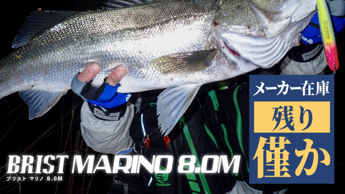 BRIST MARINO8.0M残りわずか - Fishman（フィッシュマン）