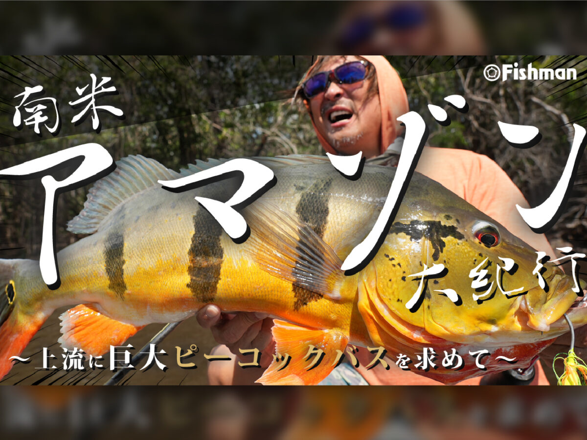 240620-赤塚アマゾン-サムネイル