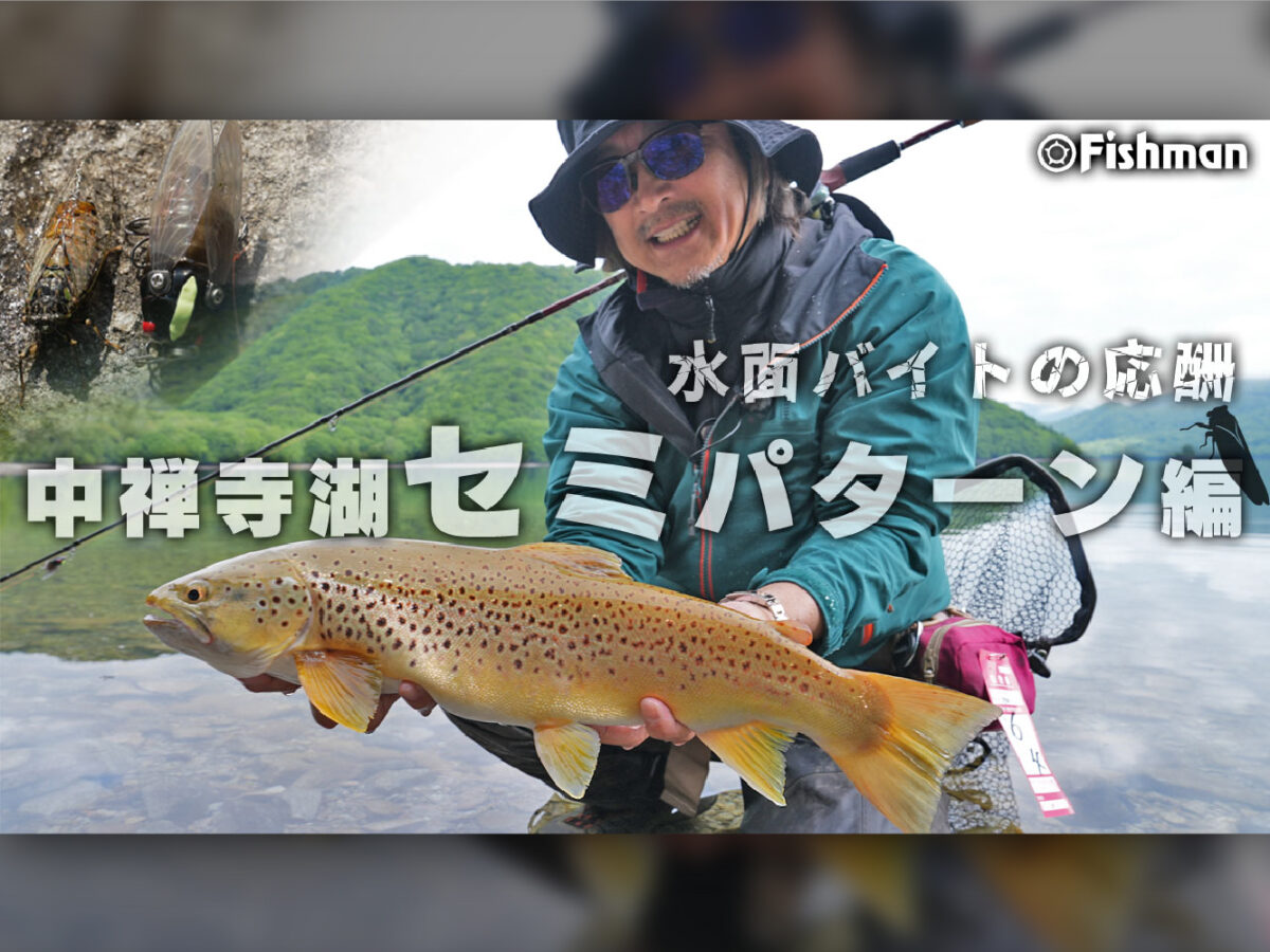 楽天市場】セミ ルアー シケイダーの通販