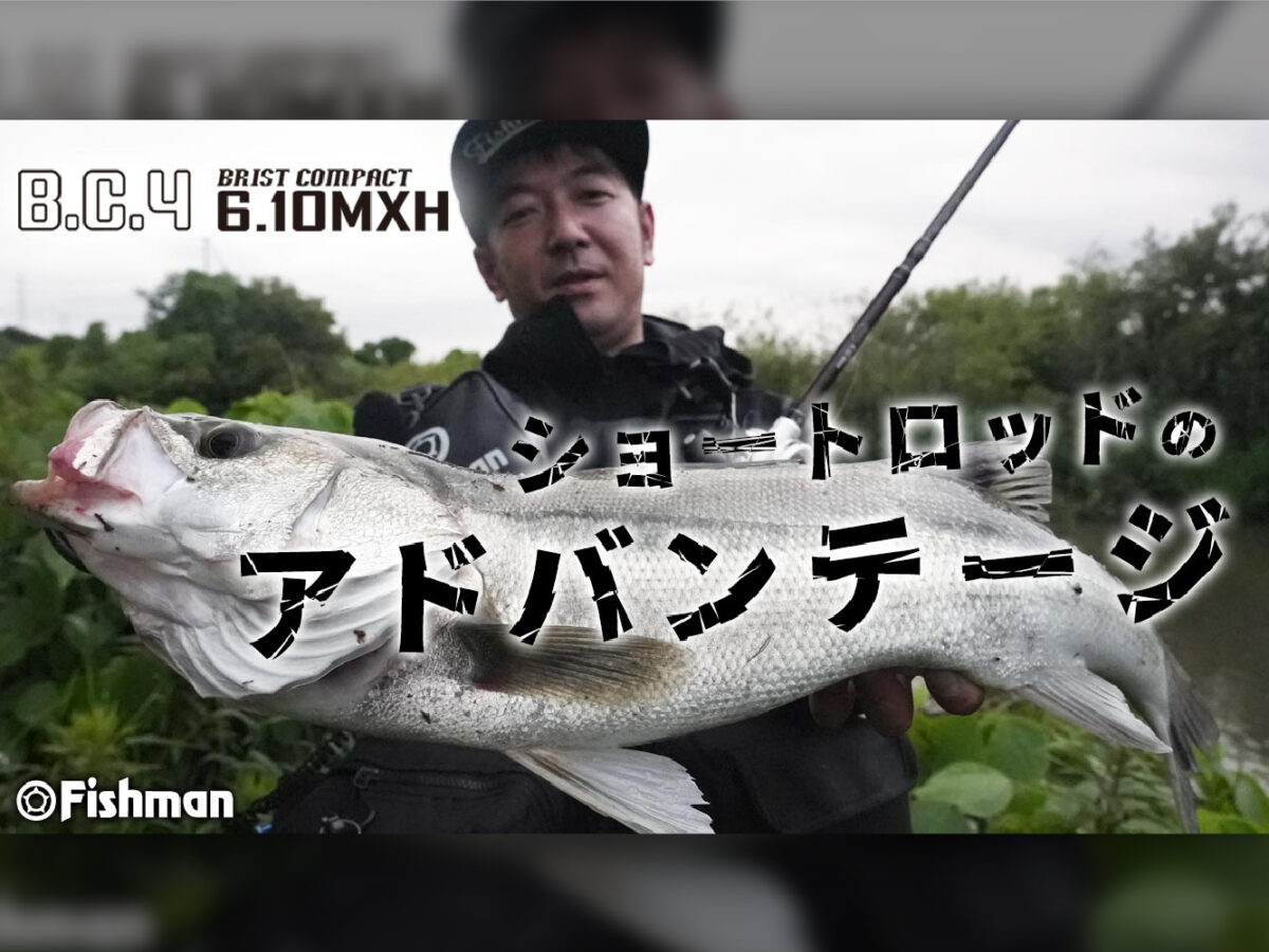 BC4 6.10MXH】これぞショートロッドの強み！雨×小場所でシーバス