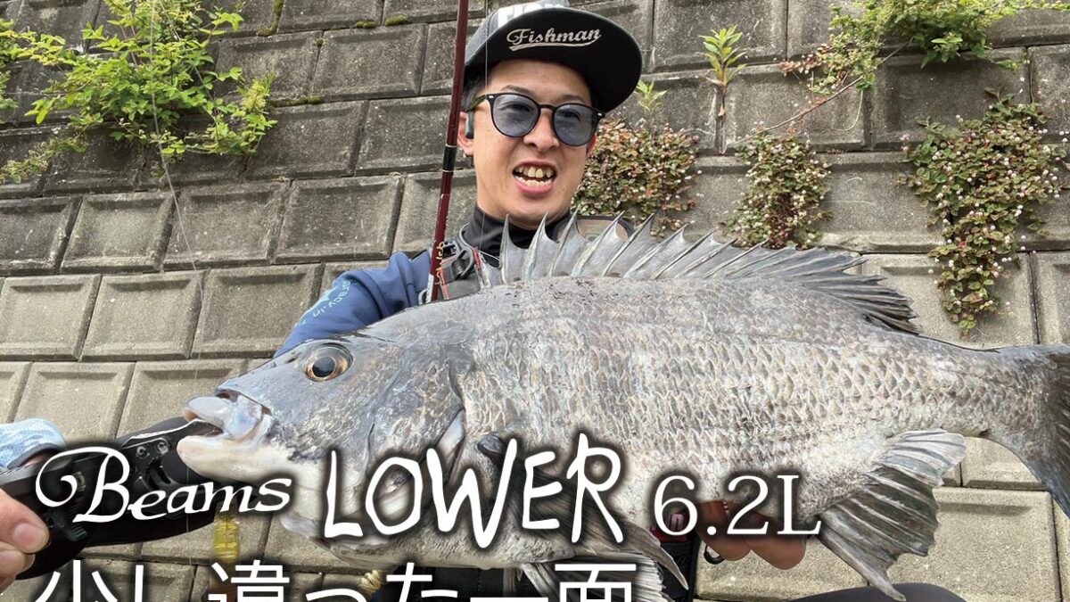 Beams LOWER6.2L - Fishman（フィッシュマン）