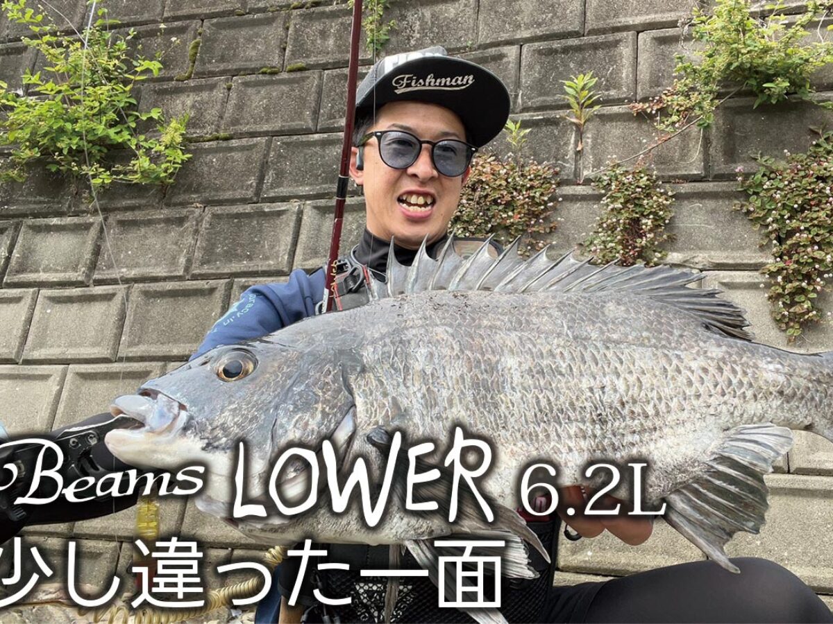Fishman/フィッシュマン】Beams LOWER 6.2L（ビームス ローワー