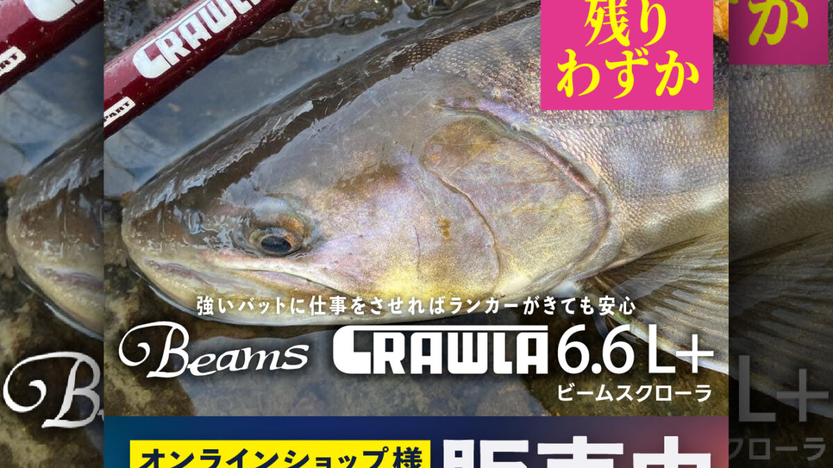 Beams CRAWLA6.6L+残りわずか - Fishman（フィッシュマン）