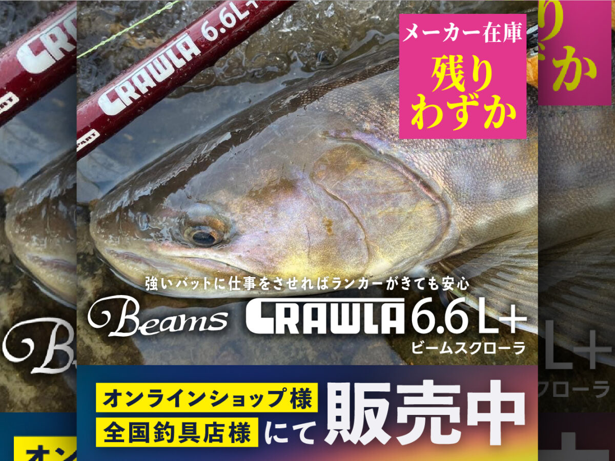 Beams CRAWLA6.6L+残りわずか - Fishman（フィッシュマン）