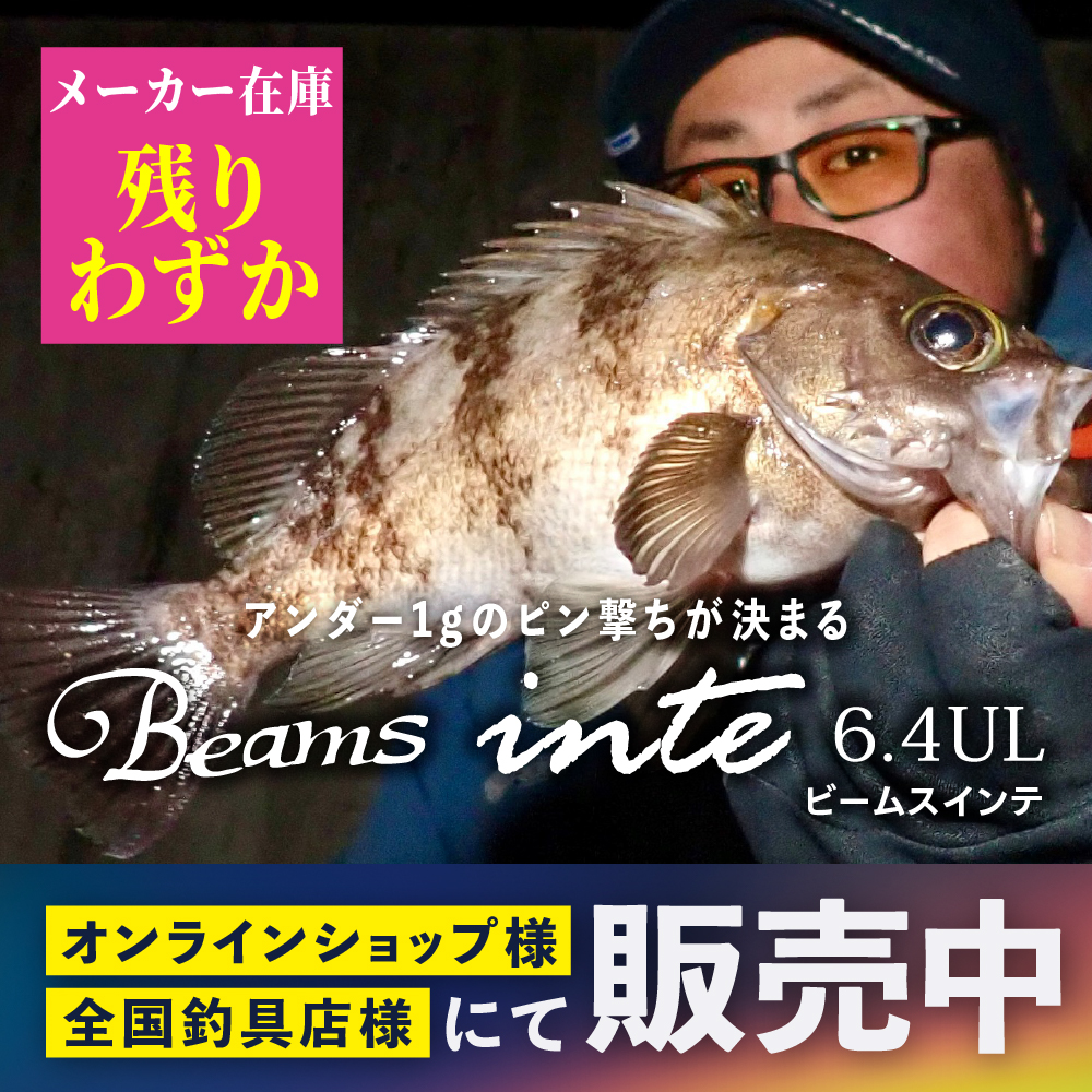 Beams inte6.4UL メーカー在庫のこりわずか - Fishman（フィッシュマン）