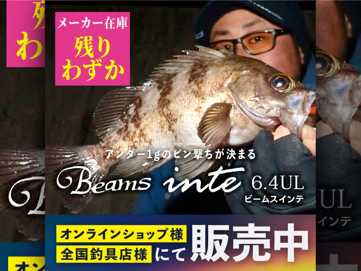 Beams inte6.4UL メーカー在庫のこりわずか - Fishman