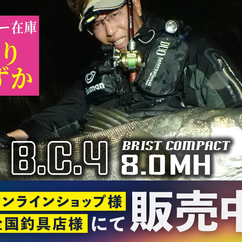 BC4 8.0MH メーカー在庫残りわずか - Fishman（フィッシュマン）