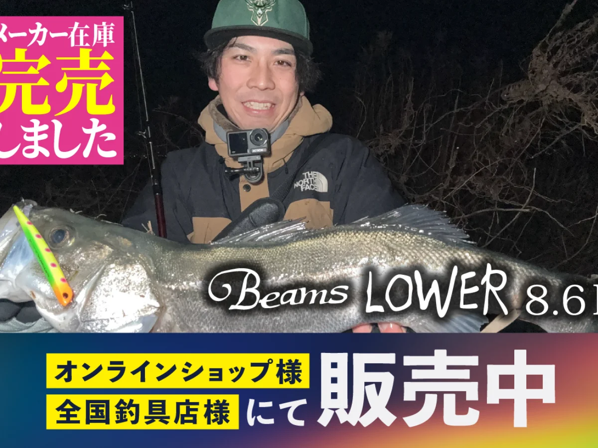 Fishman Beams LOWER8.6L ビームスローワー86L BeamsLOWER8.6L(ビームスローワー8.6L)| シーバス、メバル