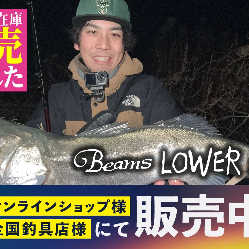 Beams LOWER8.6L(ビームスローワー) メーカー在庫完売 - Fishman