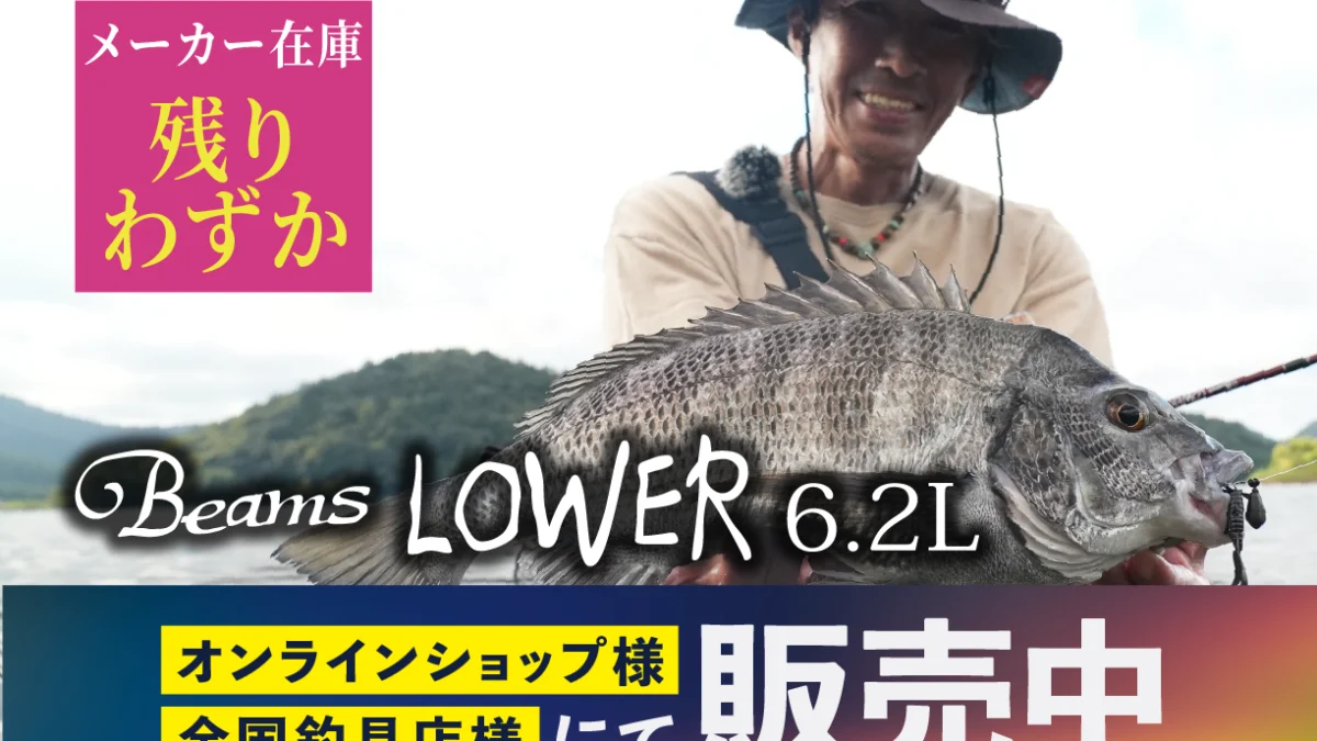 Beams LOWER6.2L(ビームス ローワー)メーカー在庫残りわずか - Fishman
