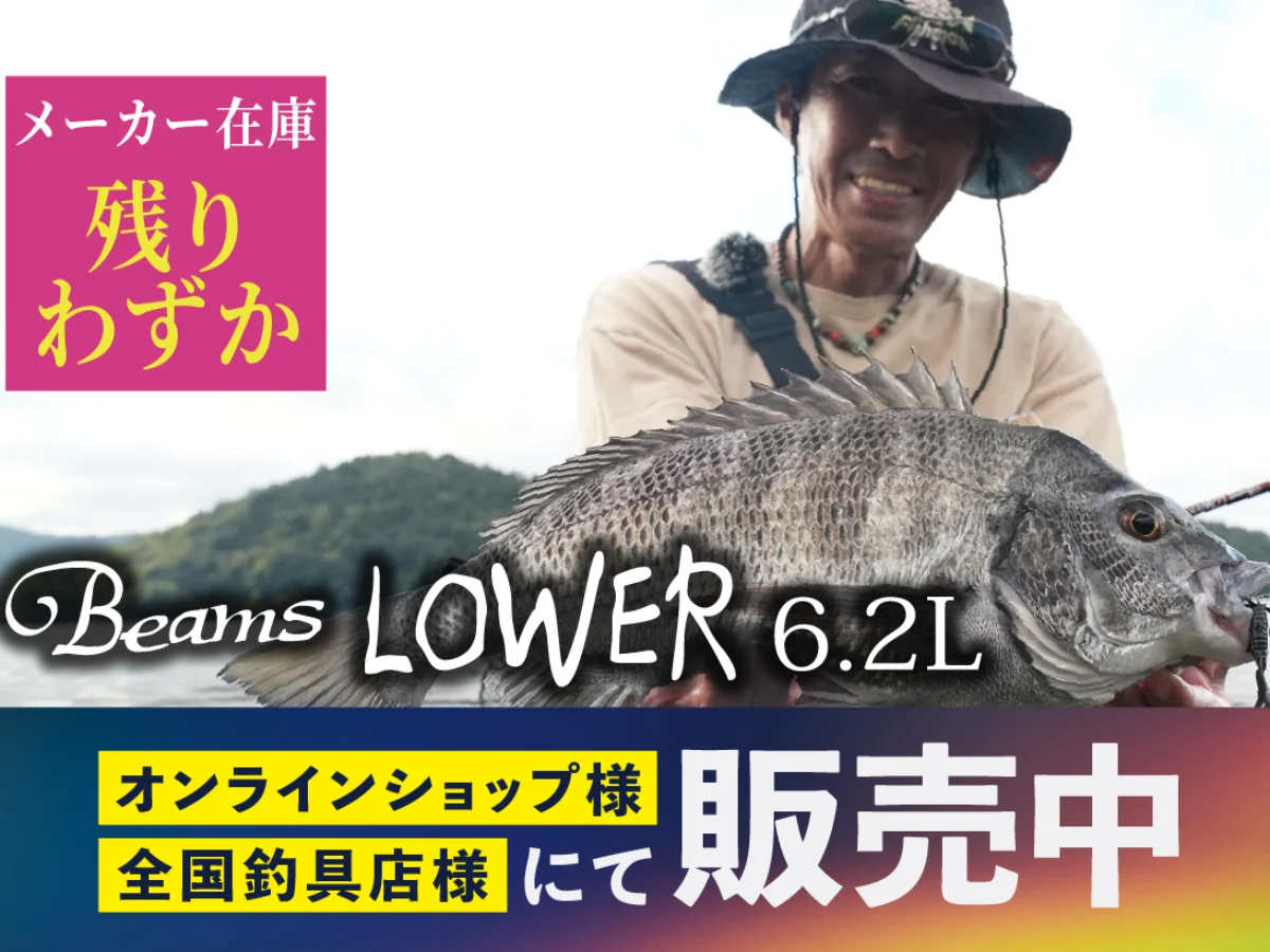 Beams LOWER6.2L(ビームス ローワー)メーカー在庫残りわずか - Fishman