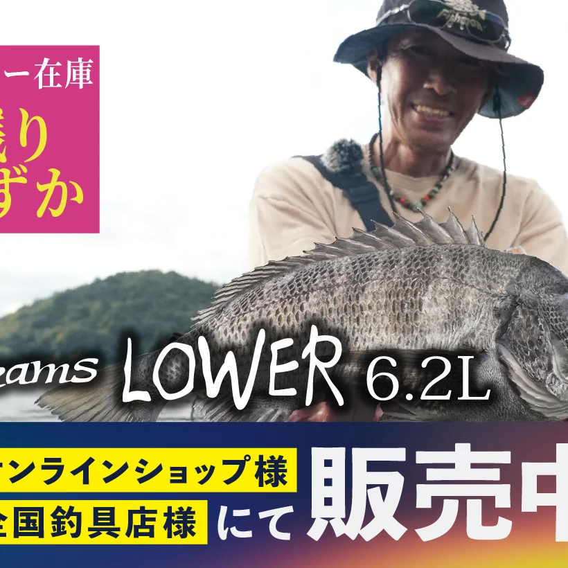 Beams LOWER6.2L(ビームス ローワー)メーカー在庫残りわずか - Fishman