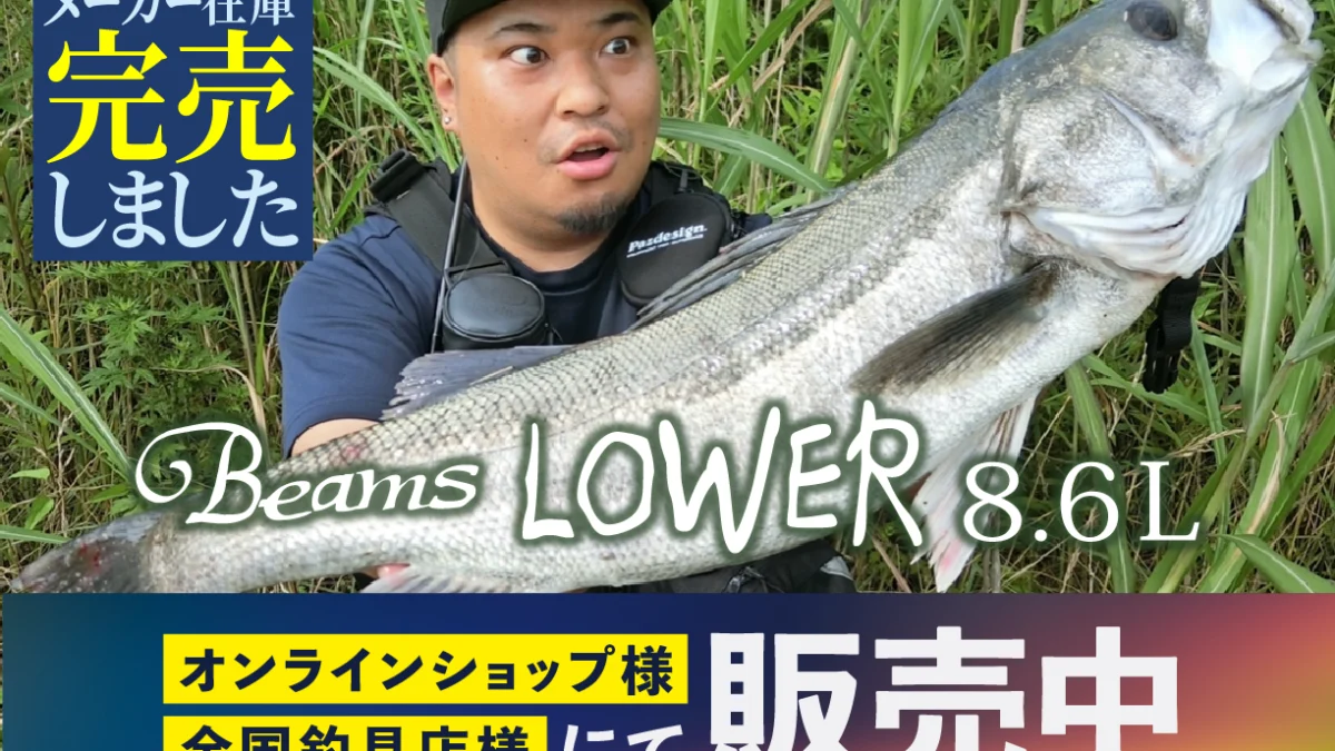 Beams LOWER8.6L(ビームスローワー) メーカー在庫完売 - Fishman