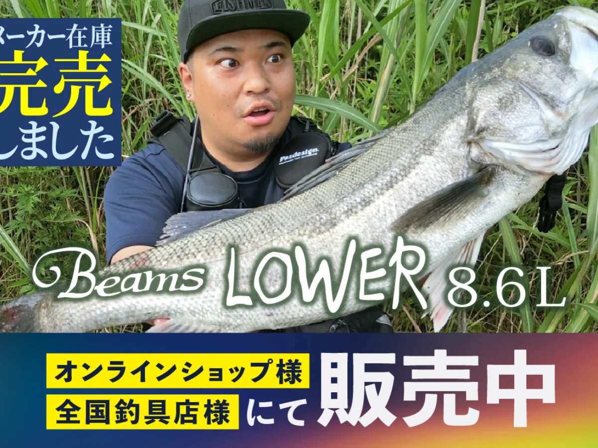 Beams LOWER8.6L(ビームスローワー) メーカー在庫完売 - Fishman