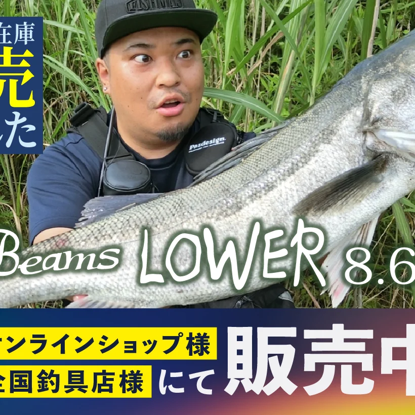 Beams LOWER8.6L(ビームスローワー) メーカー在庫完売 - Fishman