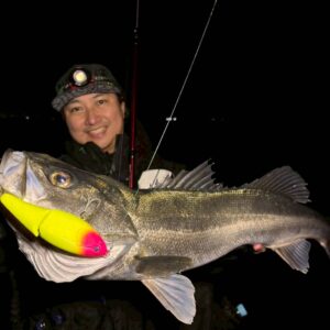 レポート アーカイブ - Fishman（フィッシュマン）