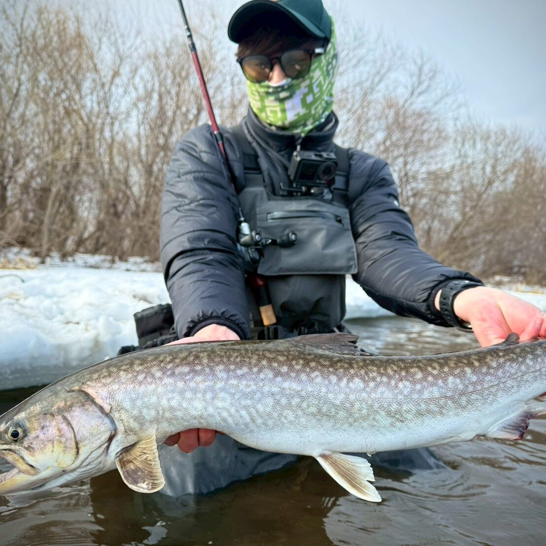 貴重なバイトをモノにするBeams LOWER8.6L - Fishman（フィッシュマン）