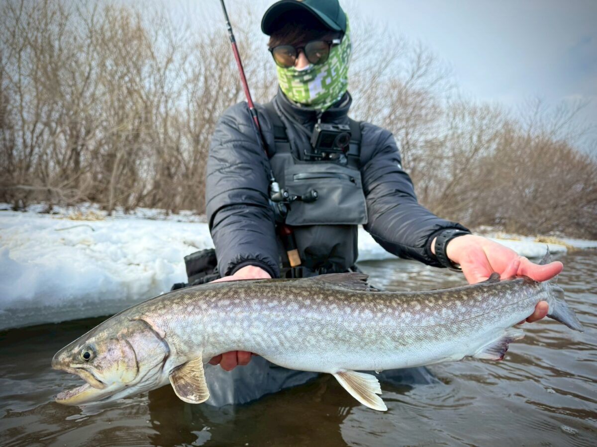 fishman フィッシュマン　LOWER8.6L ビームス 貴重なバイトをモノにするBeams LOWER8.6L - Fishman（フィッシュマン）