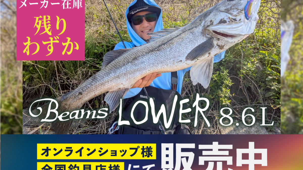 Beams LOWER8.6L メーカー在庫残りわずか - Fishman（フィッシュマン）