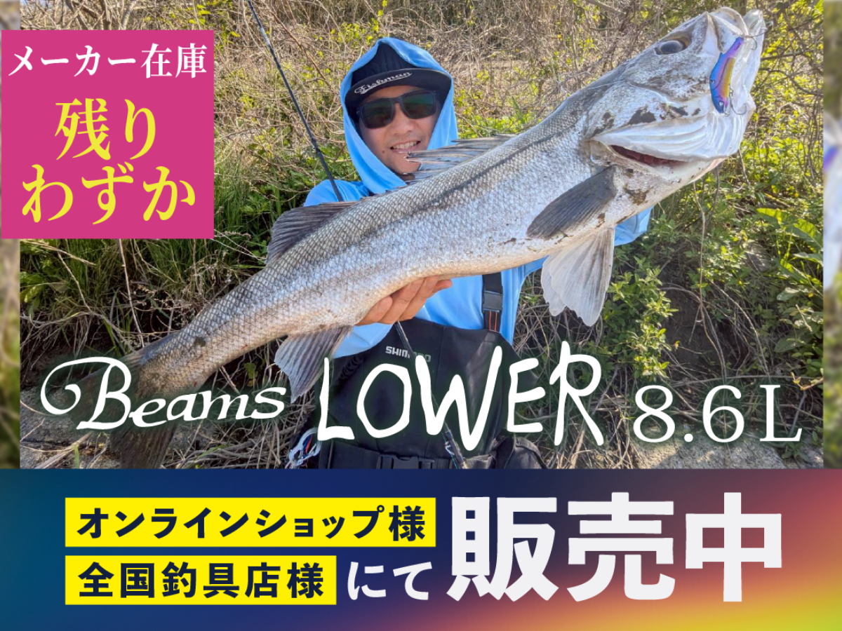Beams LOWER8.6L メーカー在庫残りわずか - Fishman（フィッシュマン）
