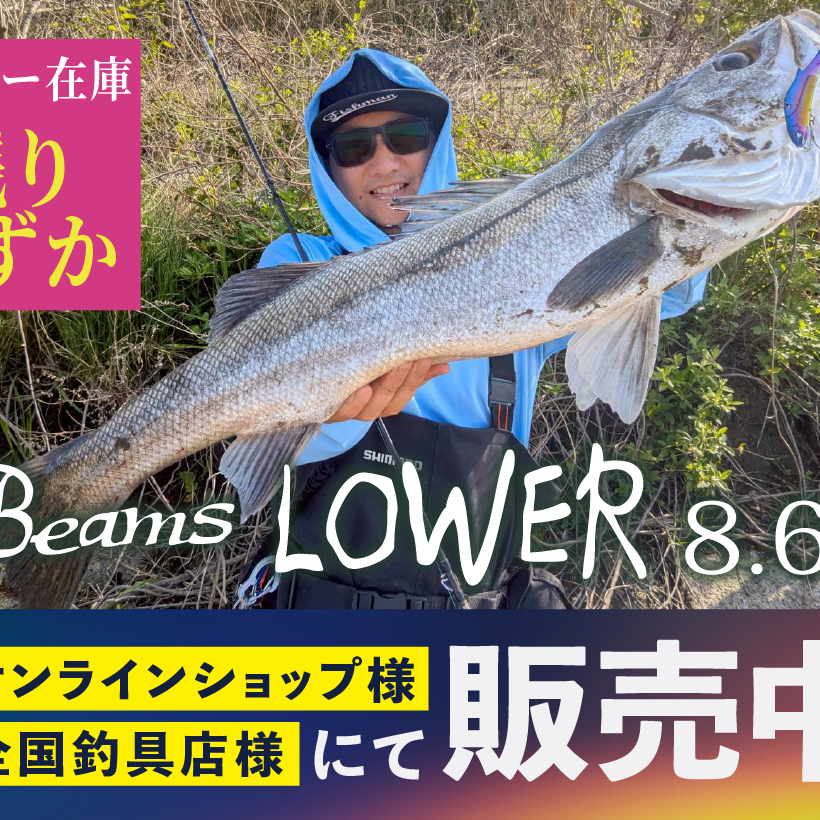 Beams LOWER8.6L メーカー在庫残りわずか - Fishman（フィッシュマン）