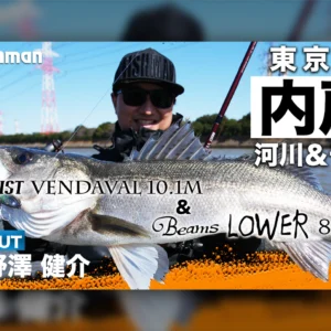 Beams LOWER8.6L アーカイブ - Fishman（フィッシュマン）