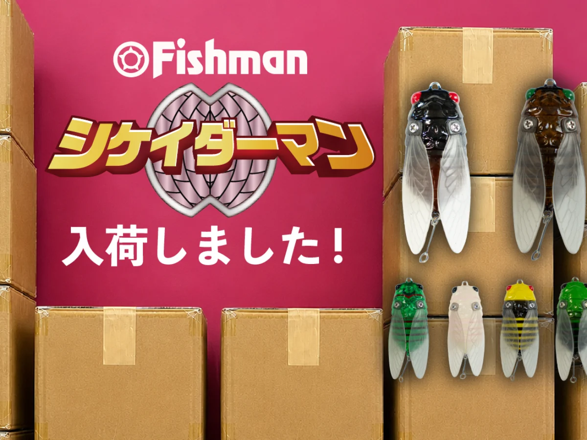 シケイダーマン 大量入荷！ - Fishman（フィッシュマン）