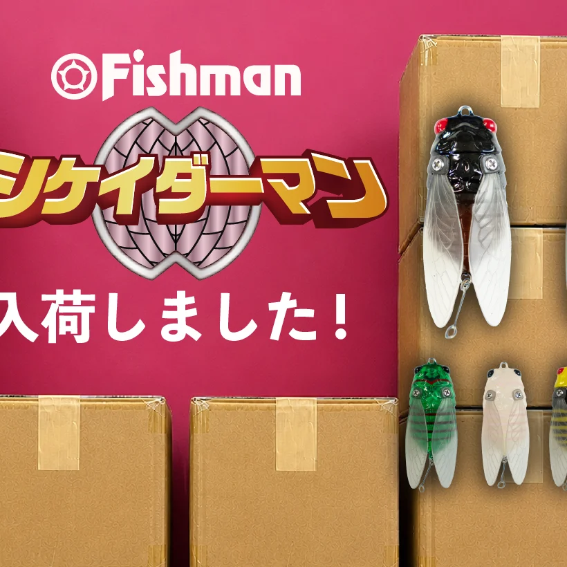 シケイダーマン 大量入荷！ - Fishman（フィッシュマン）