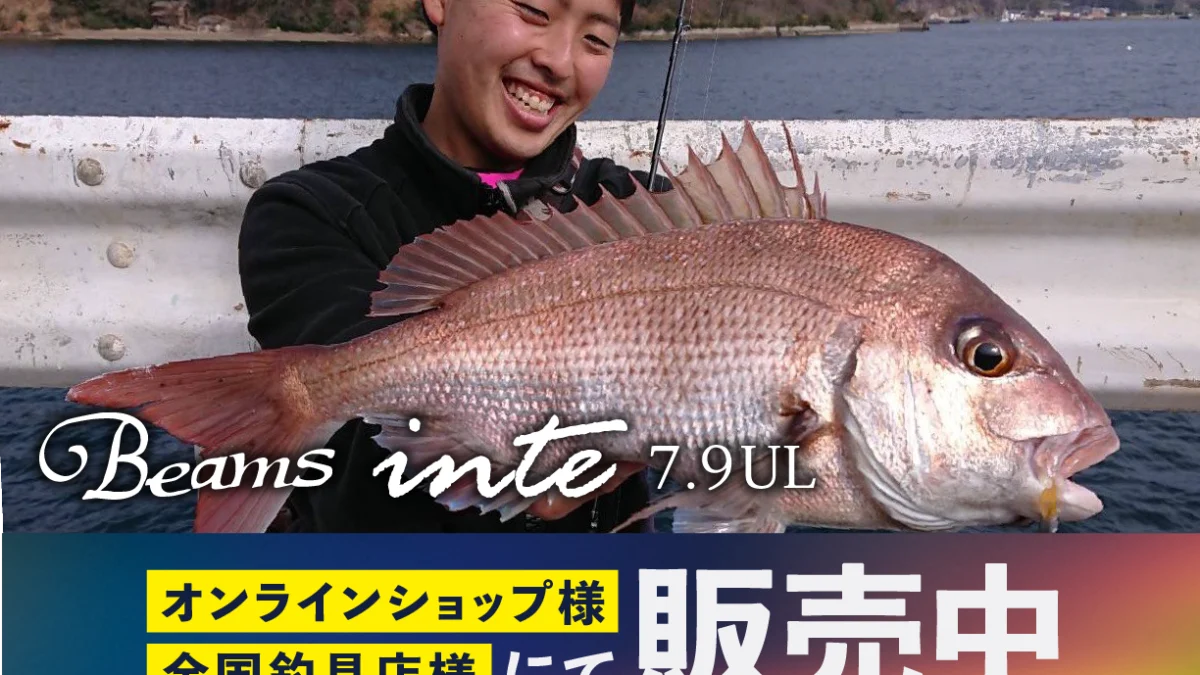 Beams inte7.9UL（ビームスインテ）』メーカー在庫 残りわずか