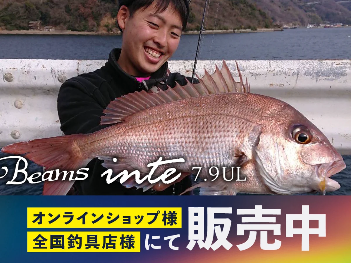 Beams inte7.9UL（ビームスインテ）』メーカー在庫 残りわずか
