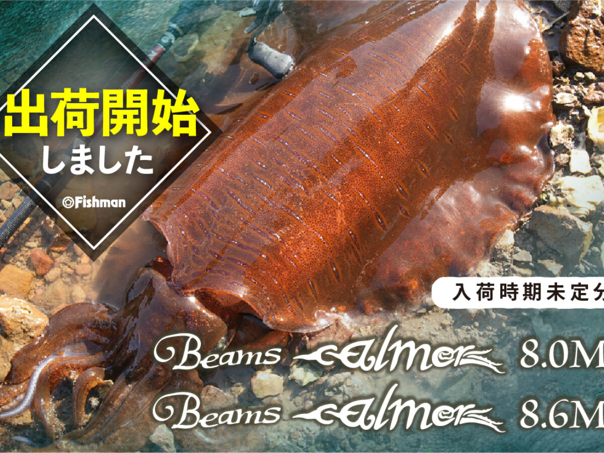 出荷情報】ベイトエギングロッド『Beams calmer8.0ML』『Beams calmer8