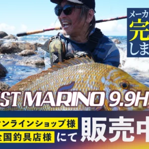 BRIST MARINO9.9H アーカイブ - Fishman（フィッシュマン）