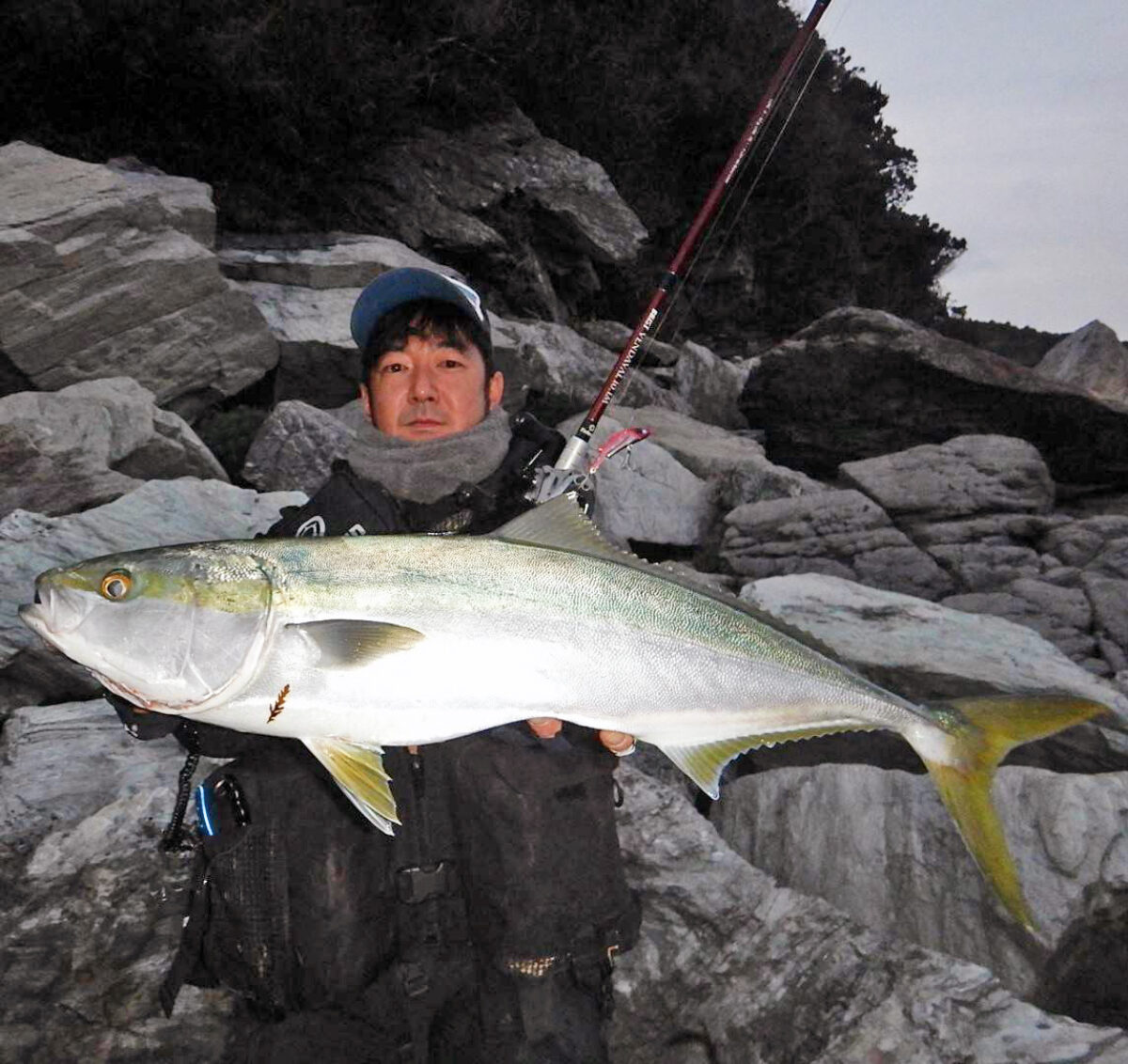 予期せぬ…青物高活性の日 - Fishman（フィッシュマン）