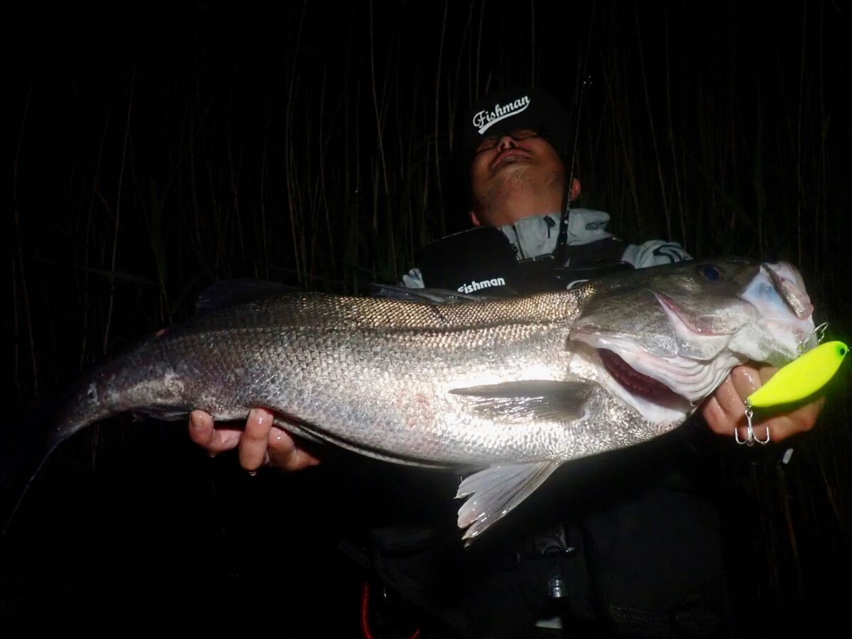 アウェイの地＋マイクロパターンで待望の1本 - Fishman（フィッシュマン）