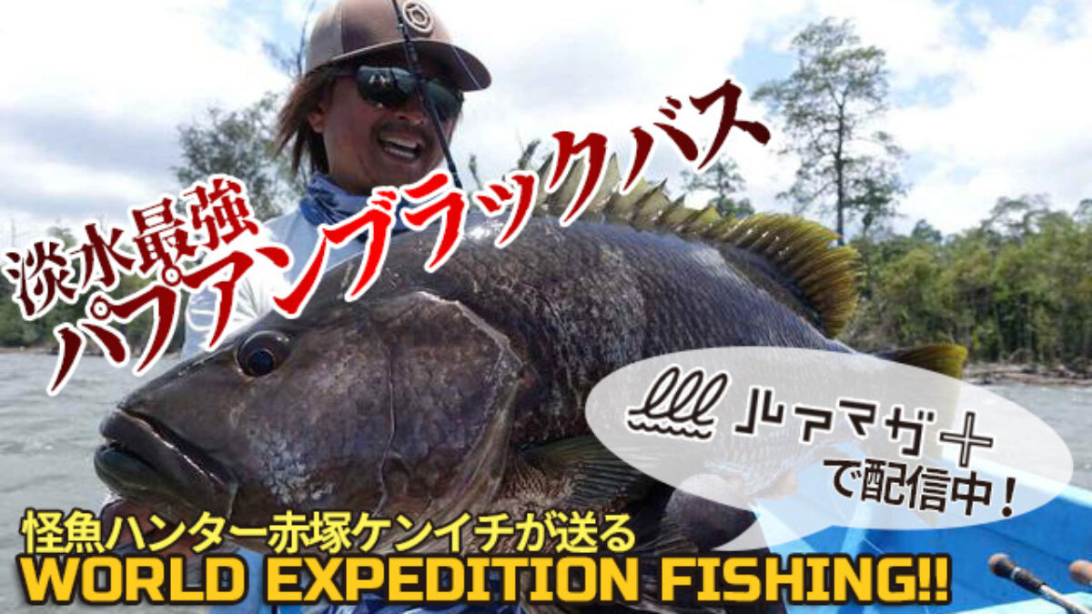 新品　怪魚ルアーセット　バラマンディー　パプアンブラックバス　サラトガ 新品 怪魚 ルアーセット バラマンディー パプアンブラックバス サラトガ