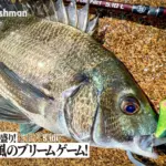 Amazon | ソルフィエスタ(Solfiesta) CBルアーロッド PESCAR