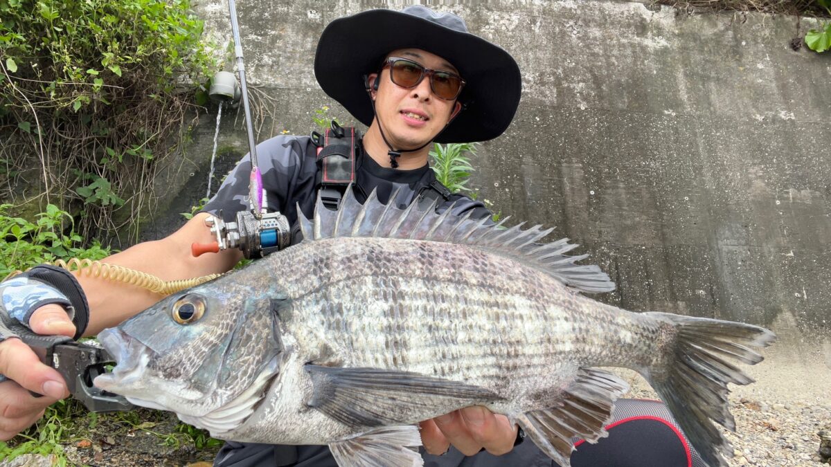 48816D75-BE8D-4051-A8A1-