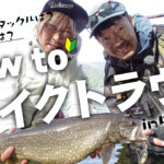 4c85c234076325c638e2c305400f29