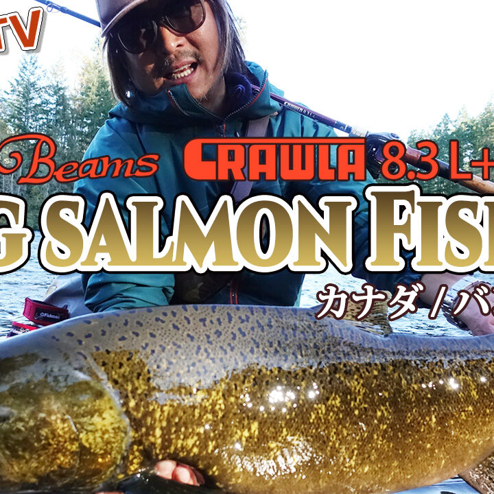 4c85c234076325c638e2c305400f29