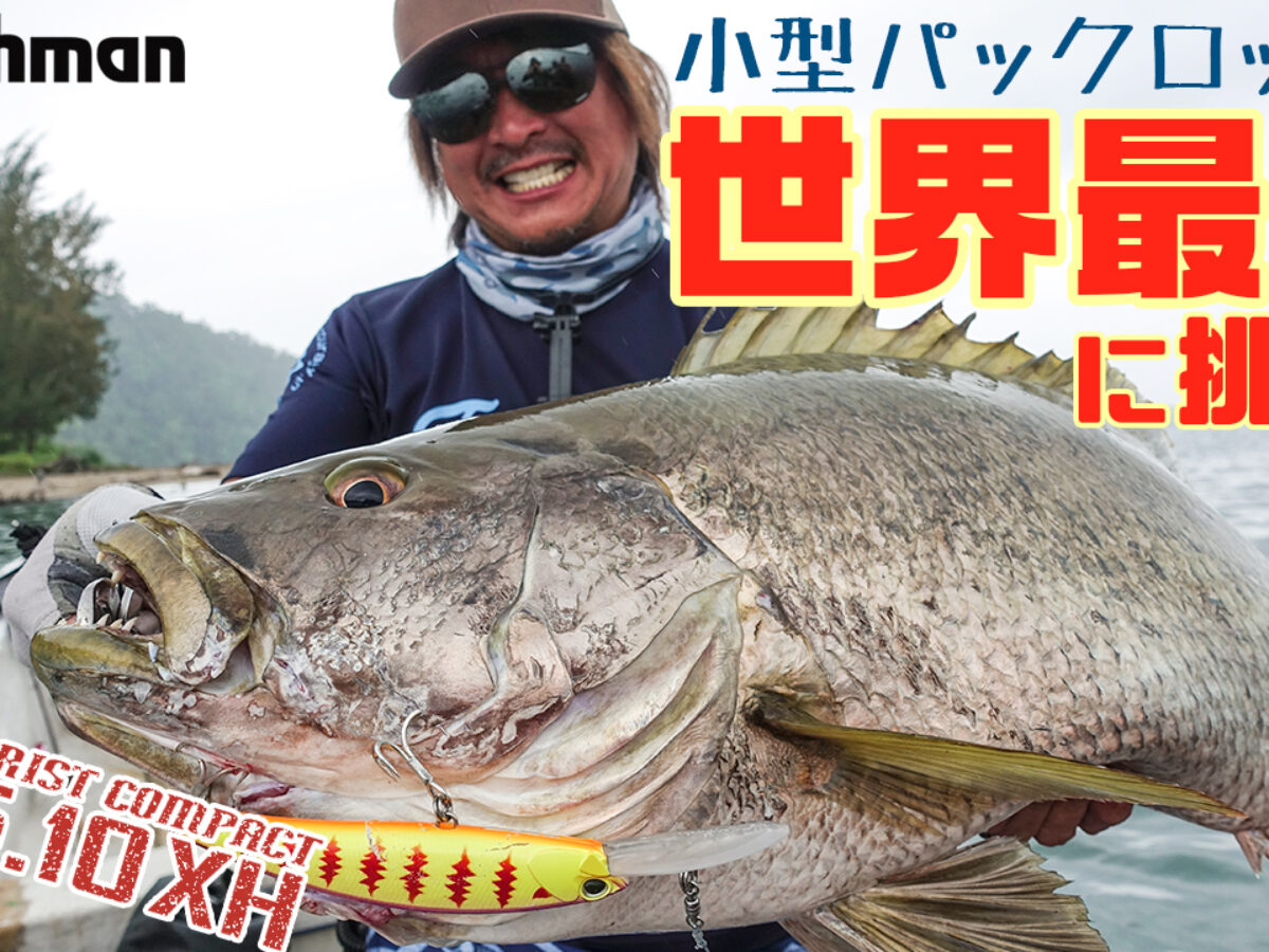 世界釣り大観　海外編 海外遠征＆怪魚好きアングラー必見!! 釣り×旅×ギアをテーマに