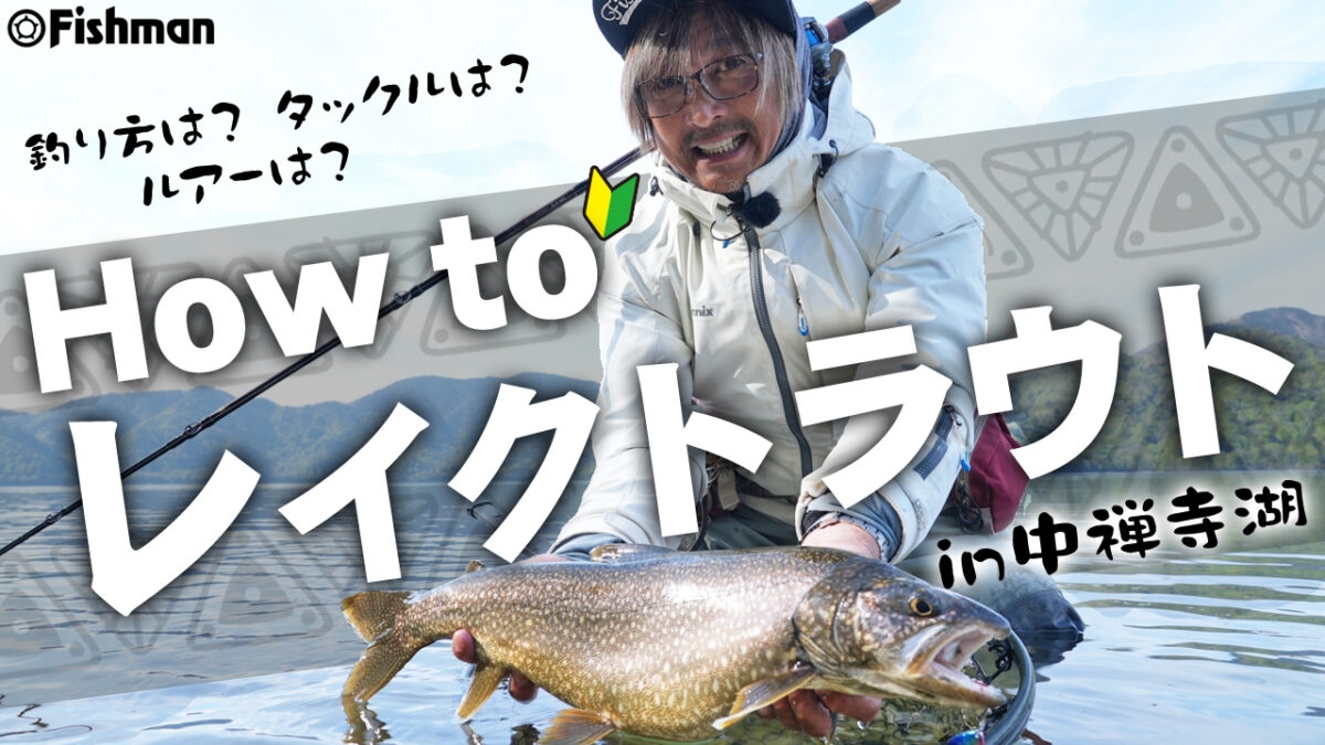 4c85c234076325c638e2c305400f29