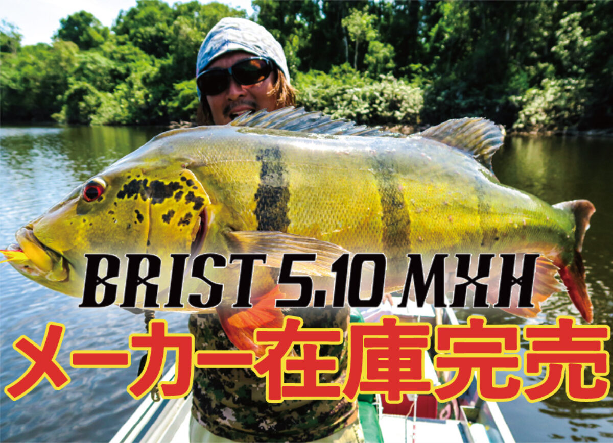BRIST 5.10MXHのメーカー在庫が完売致しました。 - Fishman