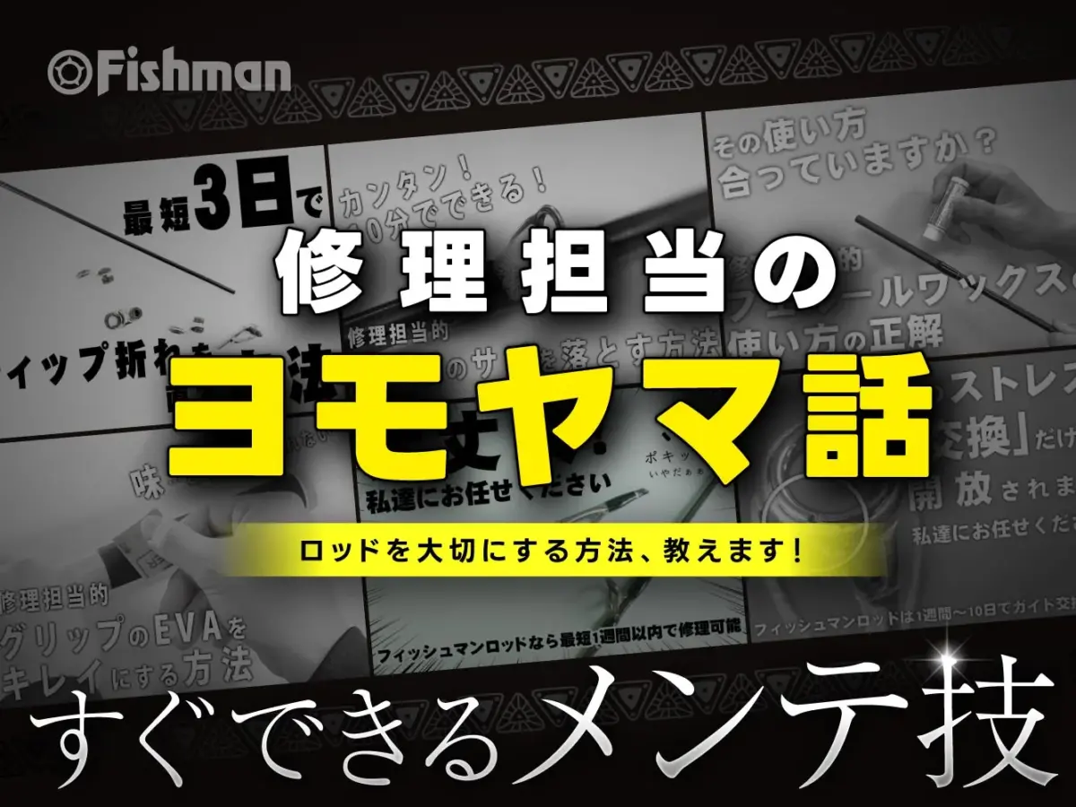 581acdfac54d2323c196c3949ce0b1