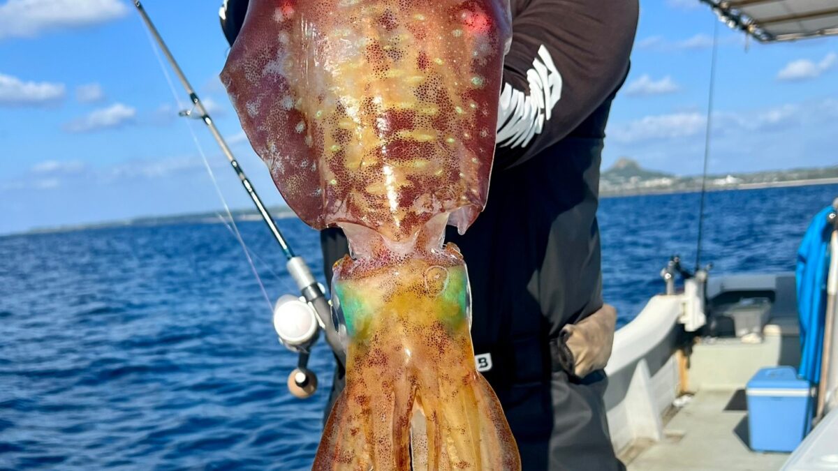 59AF3E57-320C-45DC-9F92-