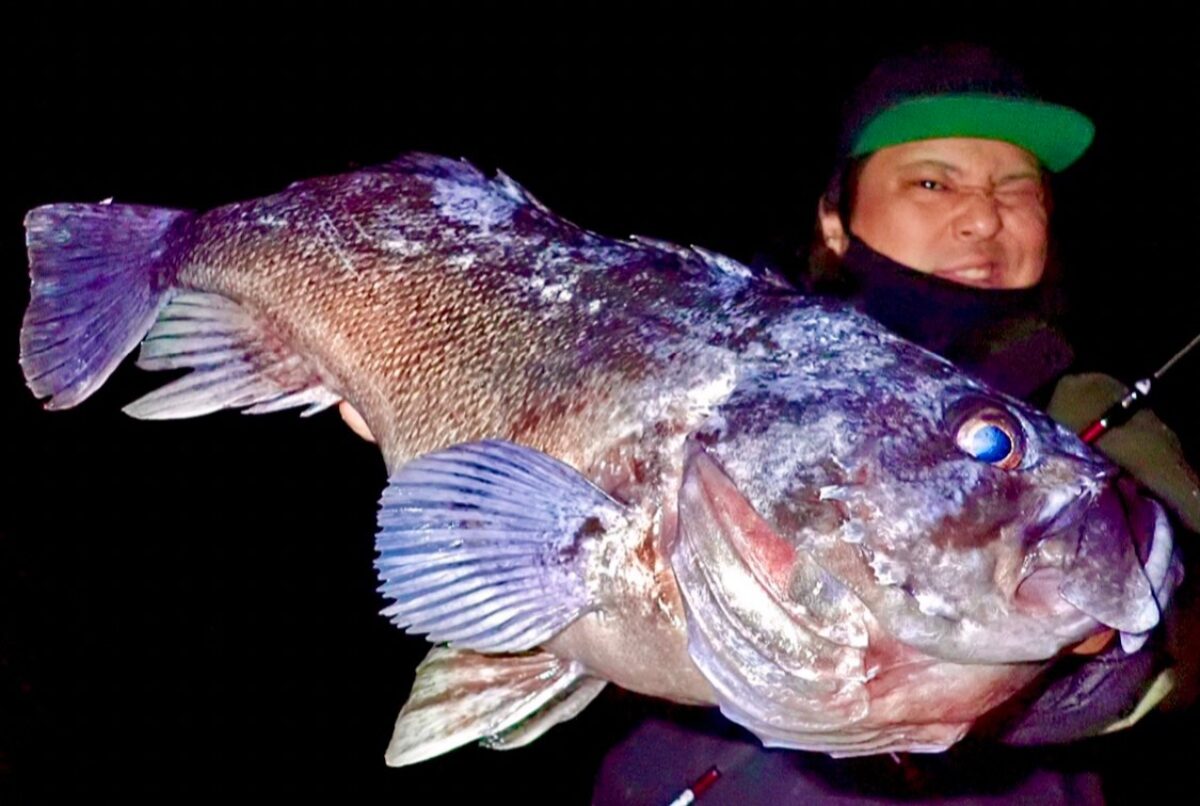 出たぞモンスター】ULロッドで大型根魚と真っ向勝負！ - Fishman